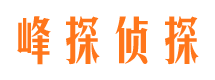 金阳市侦探公司